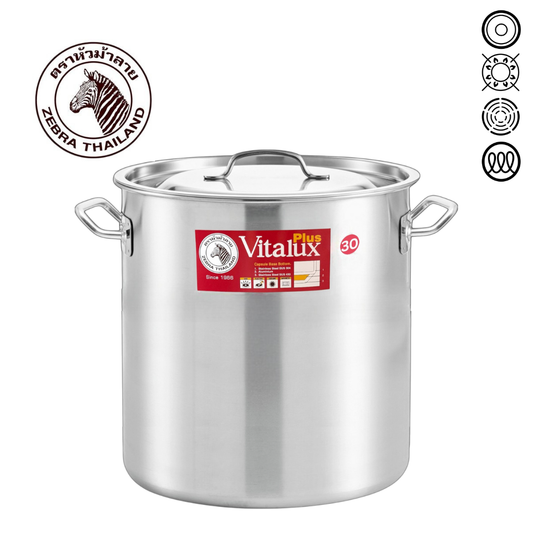ZEBRA Vitalux Stock Pot 30 x 30cm