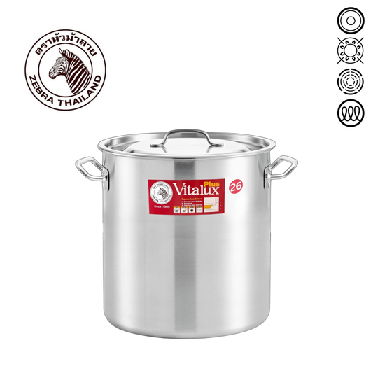 ZEBRA Vitalux Stock Pot 26 x 26cm